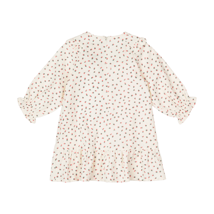 Rock Your Baby Strawberries Dress