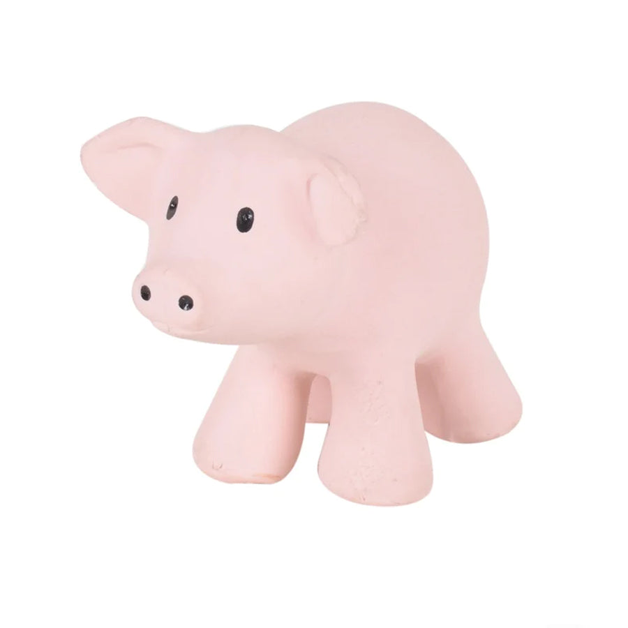 My First Farm Animal - Pig