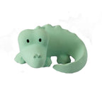 My First Zoo Animal - Croc