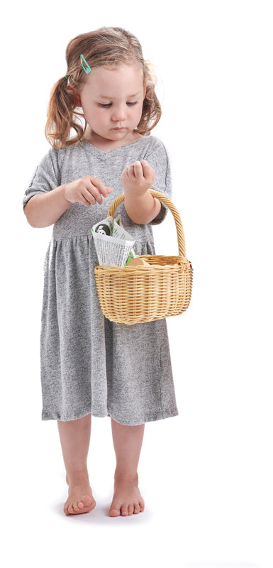 Wicker Shopping Basket Set