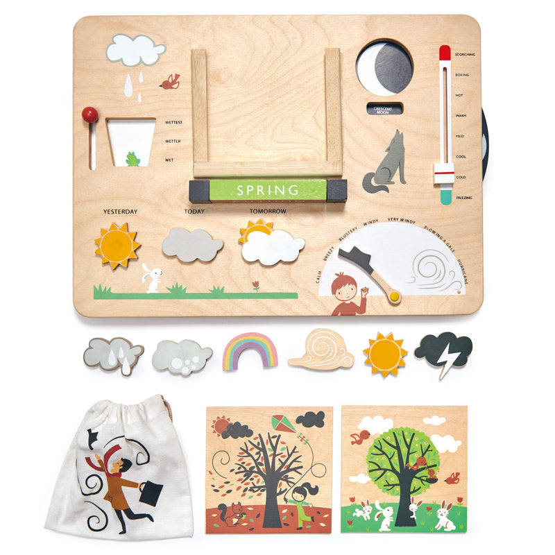 Wooden Educational Weather Station