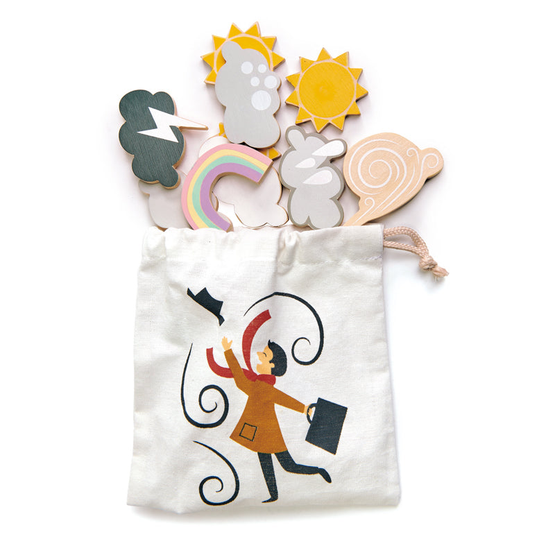 Wooden Educational Weather Station
