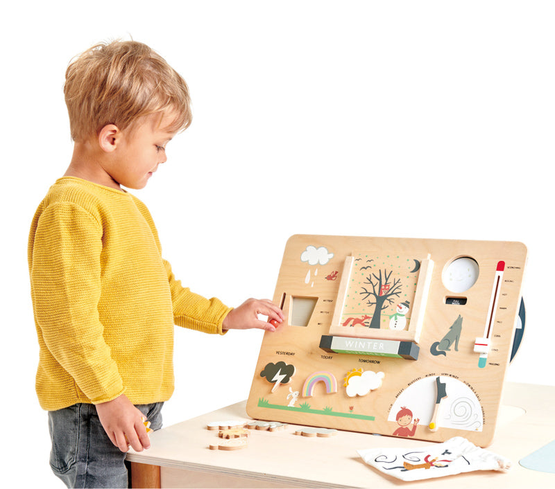 Wooden Educational Weather Station