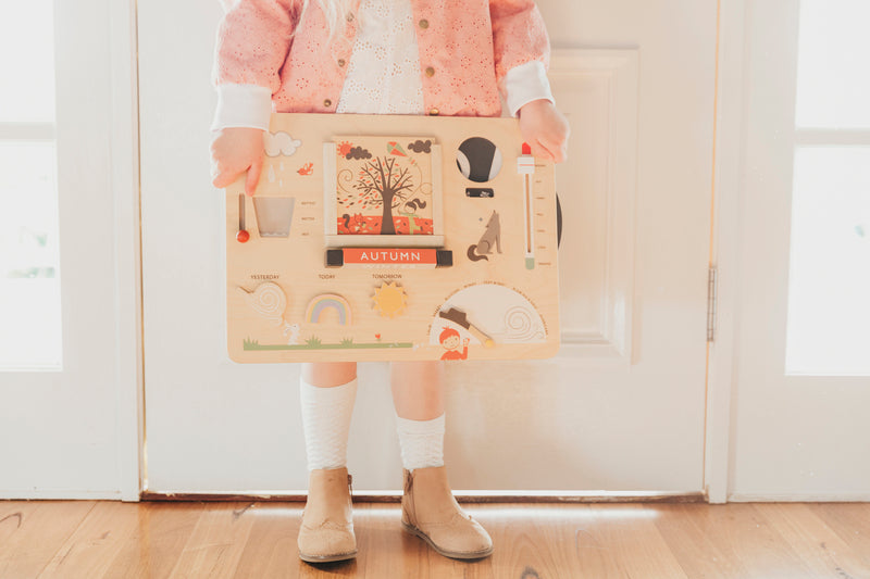 Wooden Educational Weather Station