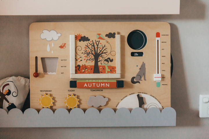 Wooden Educational Weather Station