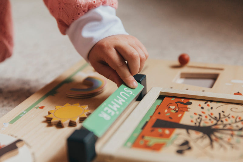 Wooden Educational Weather Station