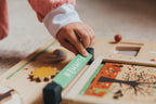 Wooden Educational Weather Station