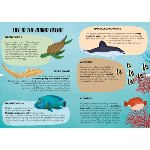 Travel Learn and Explore - The Sea 205 Piece Puzzle & Book