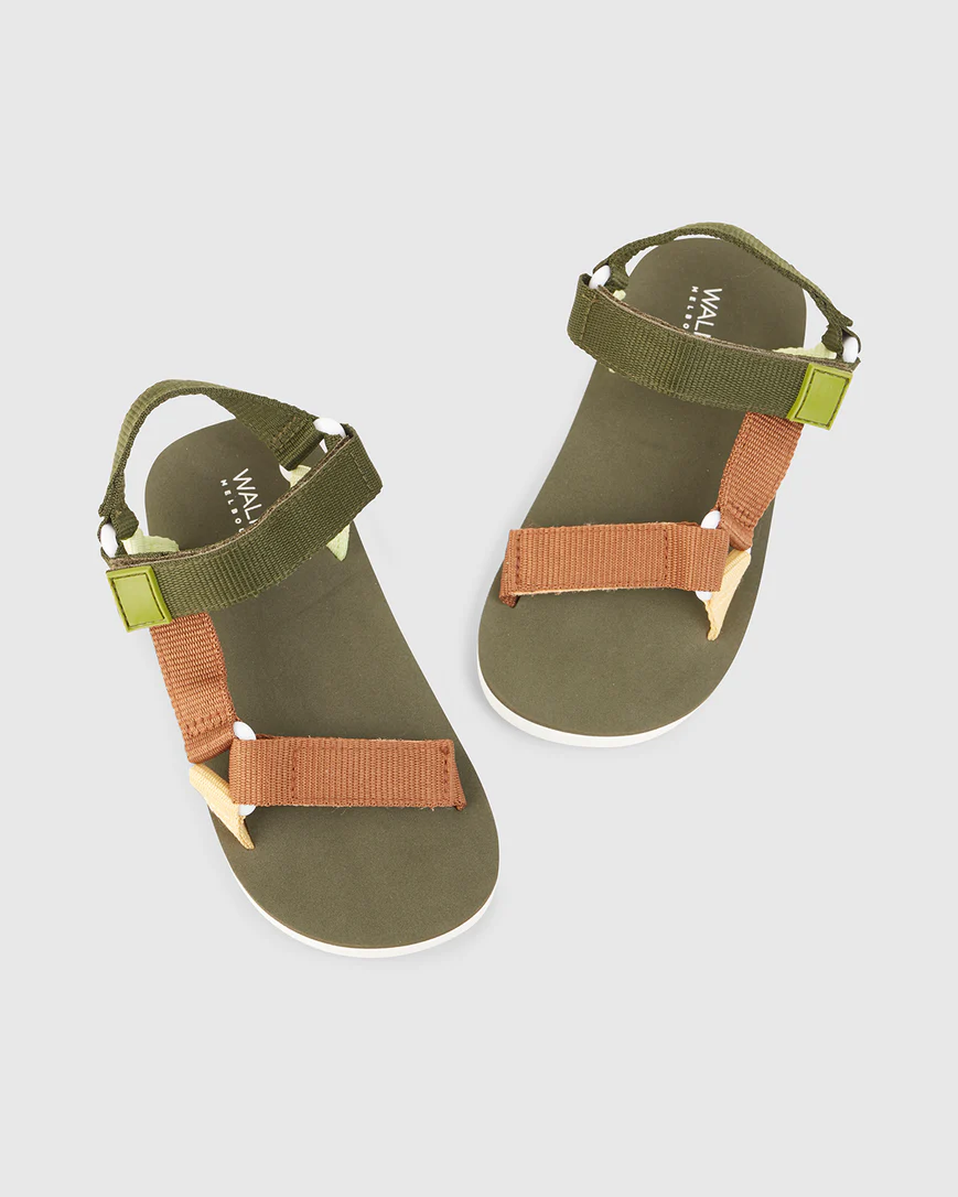 Walnut Taylor Sandal - Forest