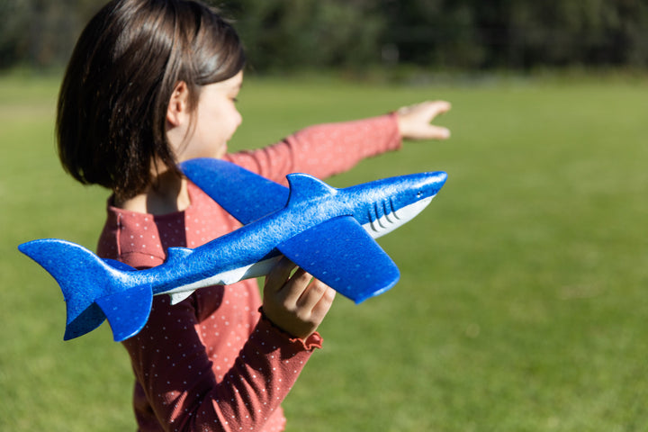 Flying Shark Glider