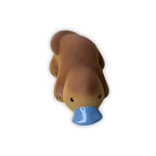 My First Australian Animal - Platypus