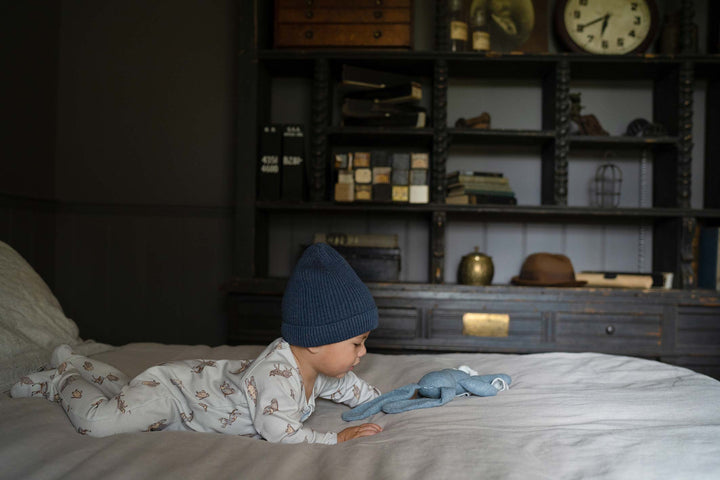 Toshi Organic Beanie - Tommy / Moonlight