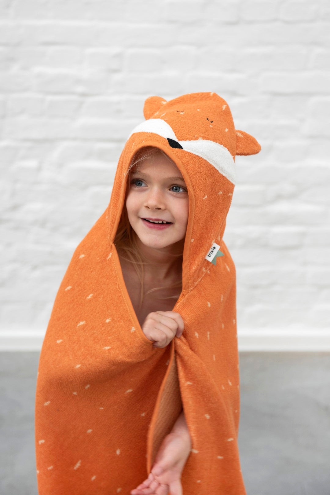 Organic Hooded Towel - Mr. Fox