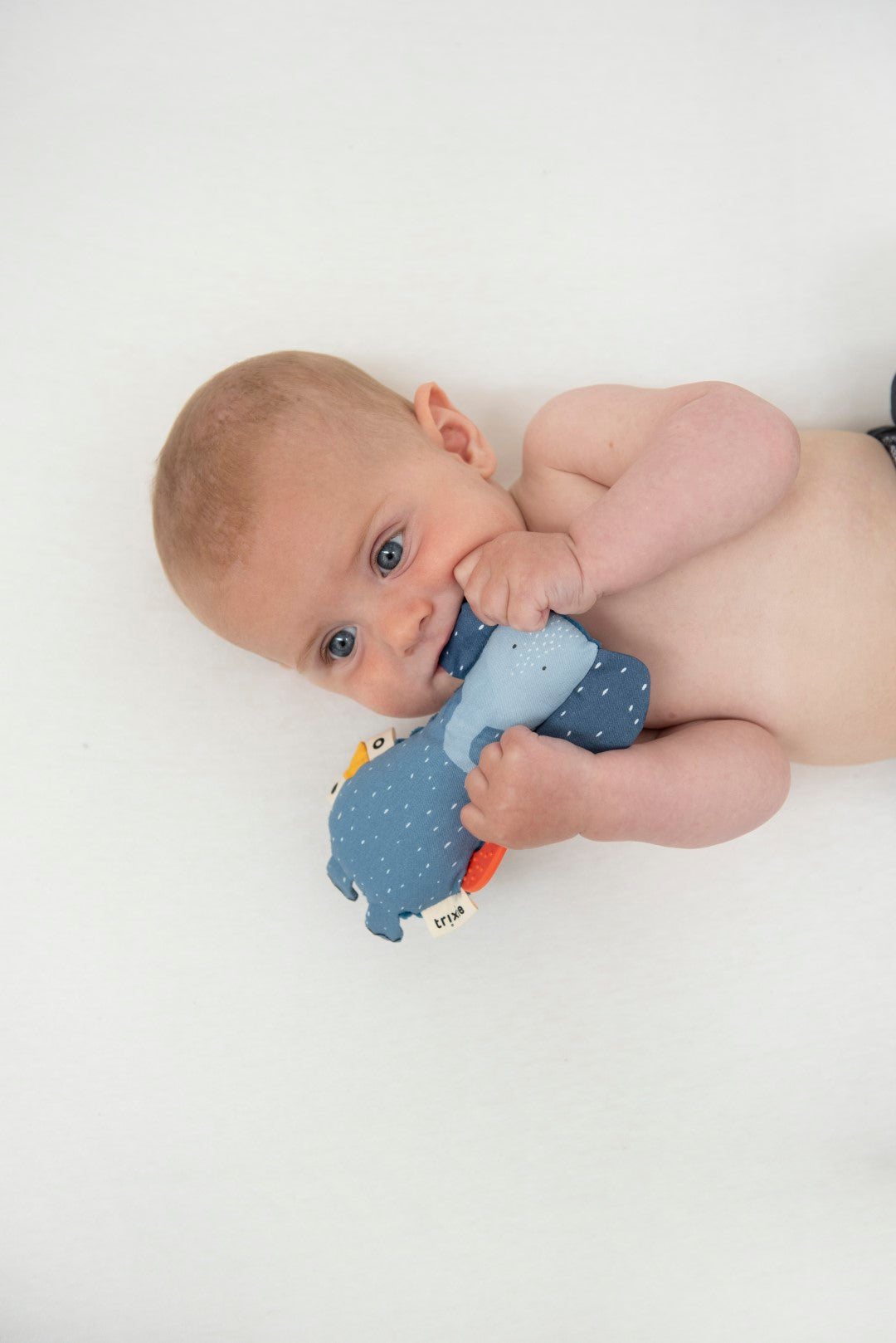 Mini Activity Toy - Mrs. Elephant