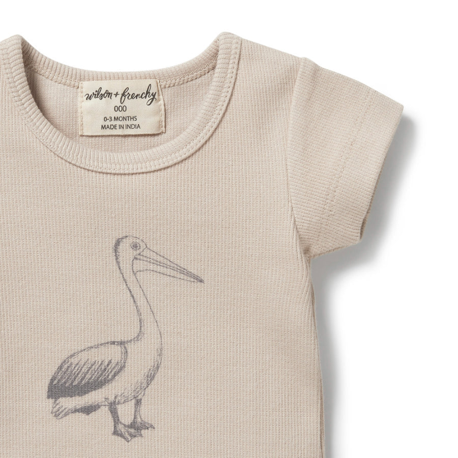 Organic Rib Tee - Little Pelican