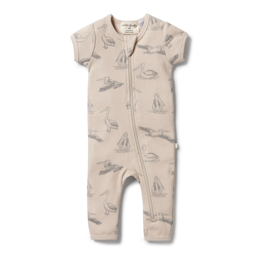 Organic Rib Zipsuit - Little Pelican