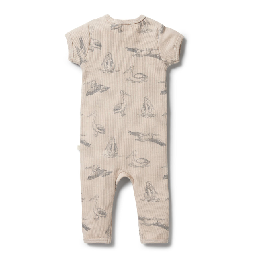 Organic Rib Zipsuit - Little Pelican