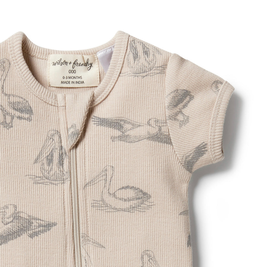 Organic Rib Zipsuit - Little Pelican