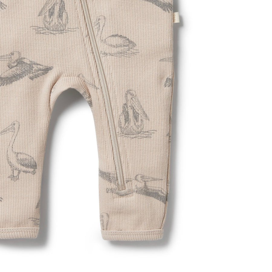 Organic Rib Zipsuit - Little Pelican