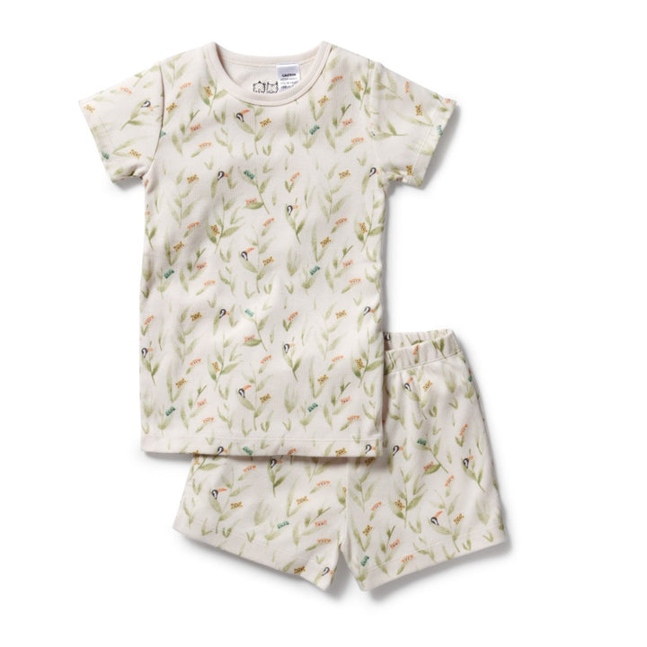 Wilson & Frenchy Organic Rib Short Sleeve Pyjamas - Peek-a-Boo