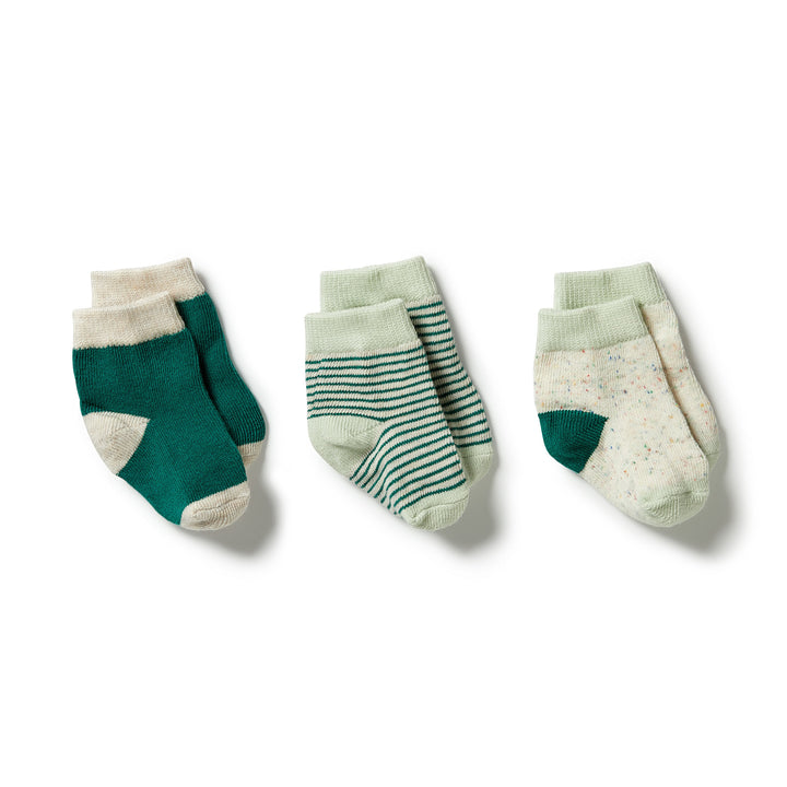 Wilson and Frenchy Organic 3 Pack Baby Socks - Deep Sea / Pistachio / Oatmeal