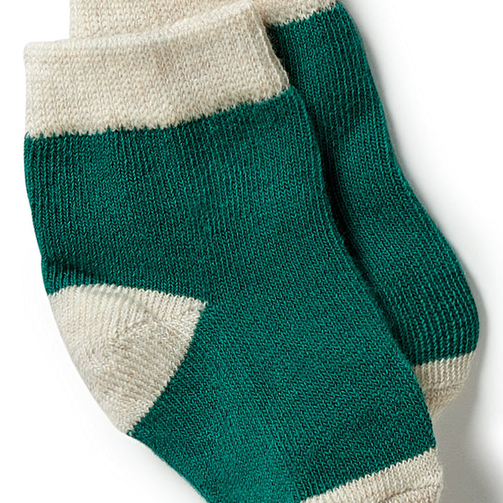 Wilson and Frenchy Organic 3 Pack Baby Socks - Deep Sea / Pistachio / Oatmeal