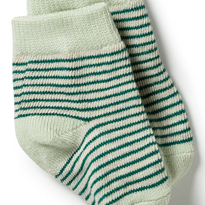 Wilson and Frenchy Organic 3 Pack Baby Socks - Deep Sea / Pistachio / Oatmeal