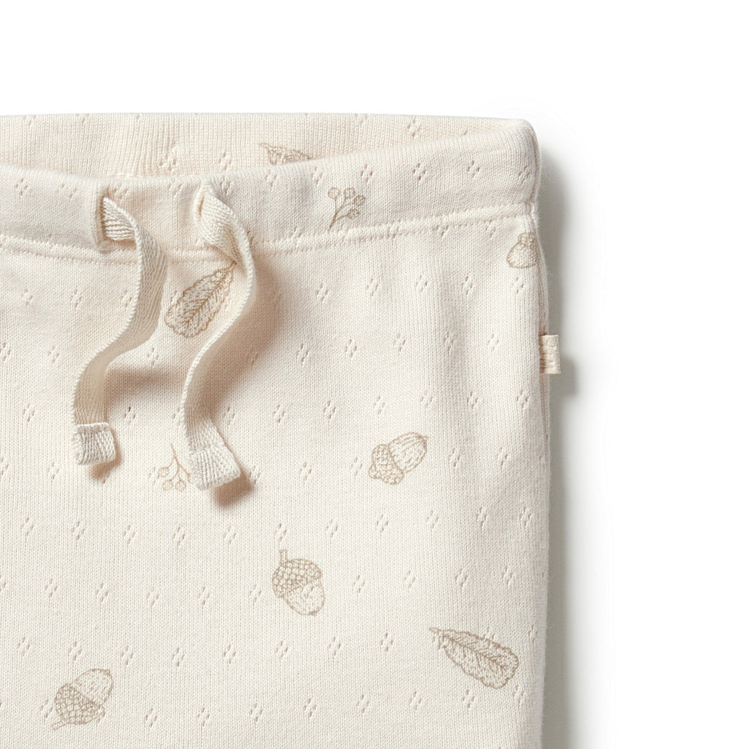 Wilson and Frenchy Organic Pointelle Legging with Feet - Little Acorn