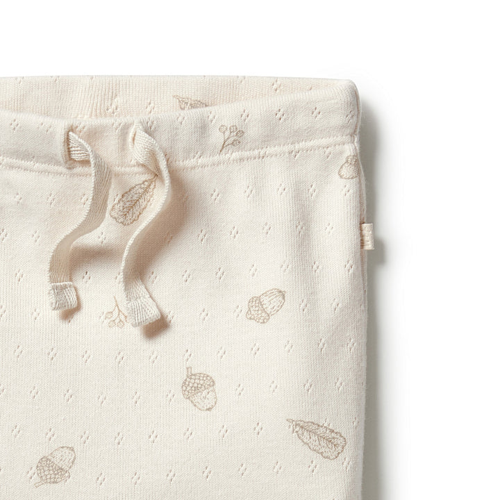 Wilson and Frenchy Organic Pointelle Legging with Feet - Little Acorn