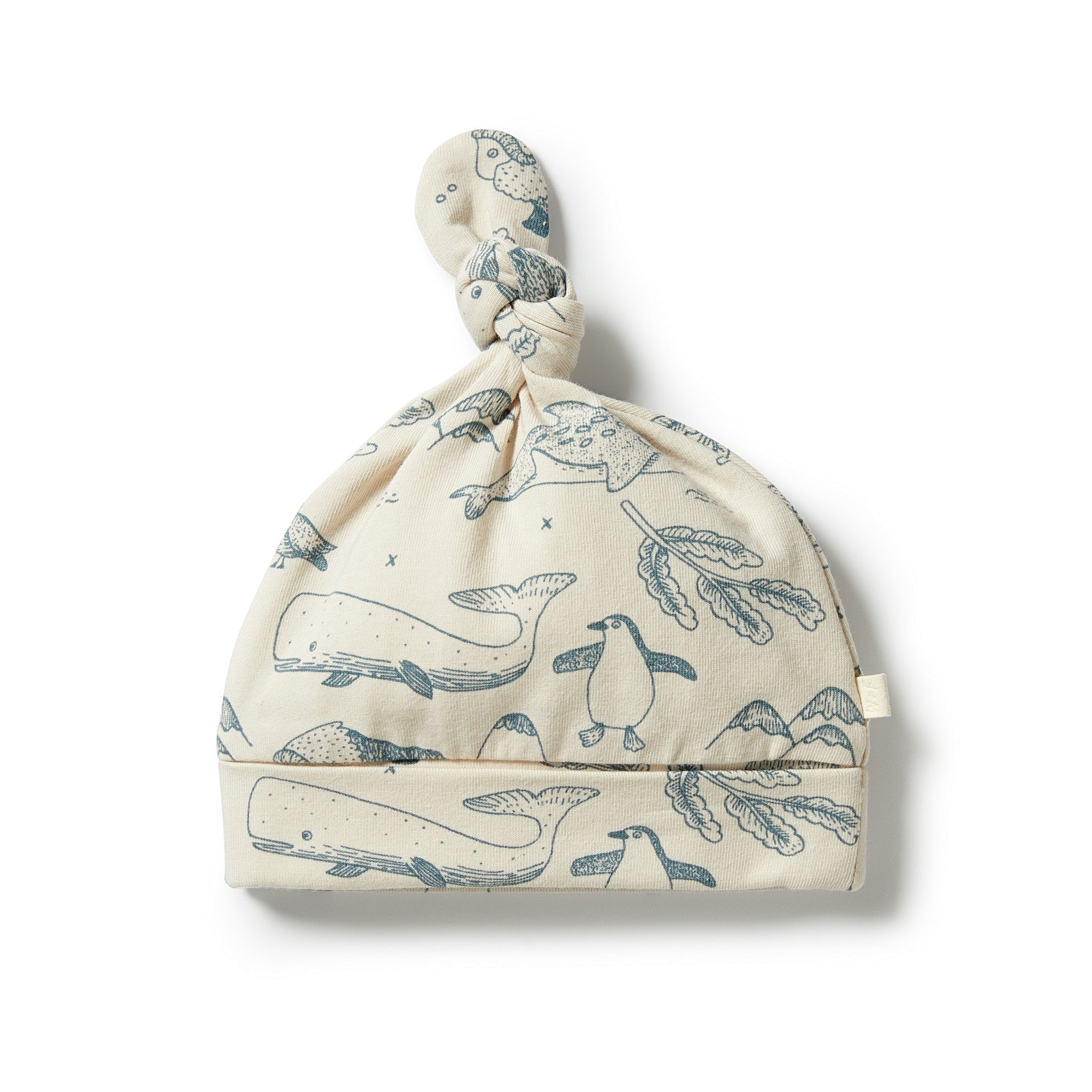 Organic Knot Hat - Arctic Blast