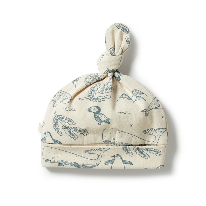 Wilson and Frenchy Organic Knot Hat - Arctic Blast