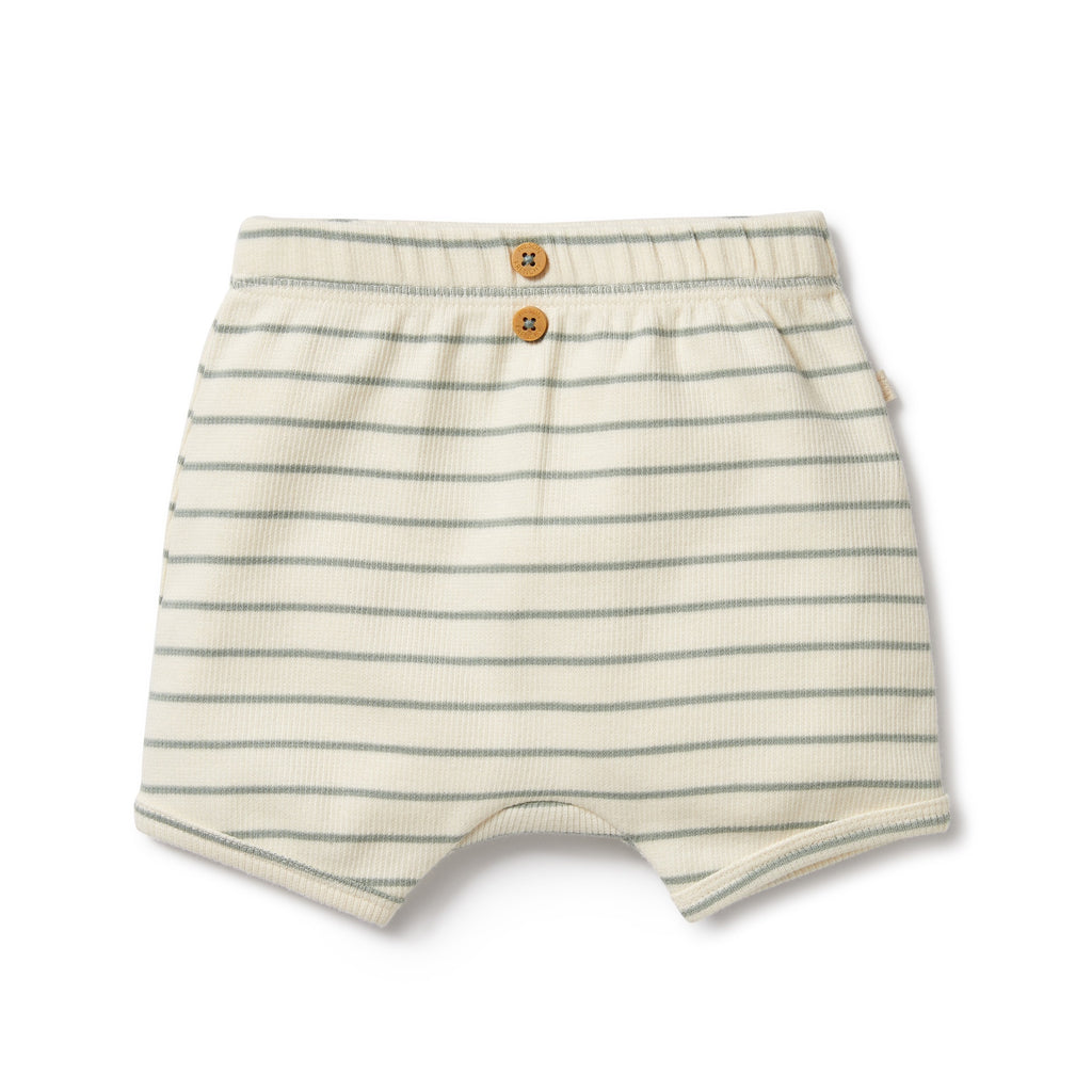 Wilson and Frenchy Petit Sage Organic Short