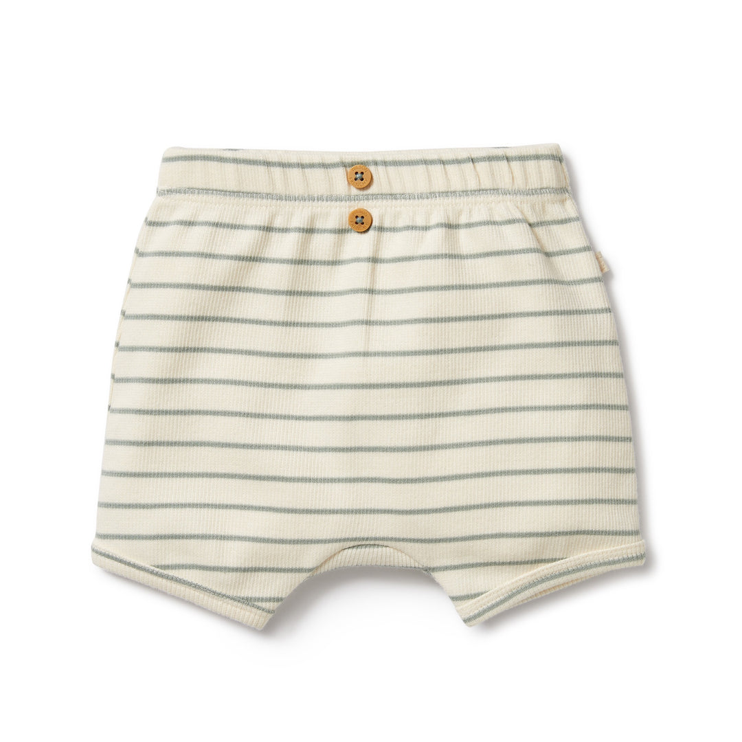 Wilson and Frenchy Petit Sage Organic Short