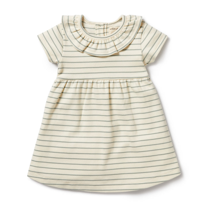 Wilson and Frenchy Petit Sage Organic Ruffle Dress