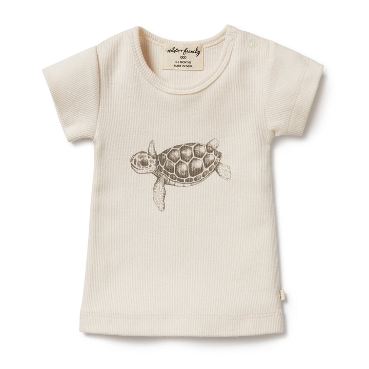 Wilson and Frenchy Tiny Turtle Organic Tee