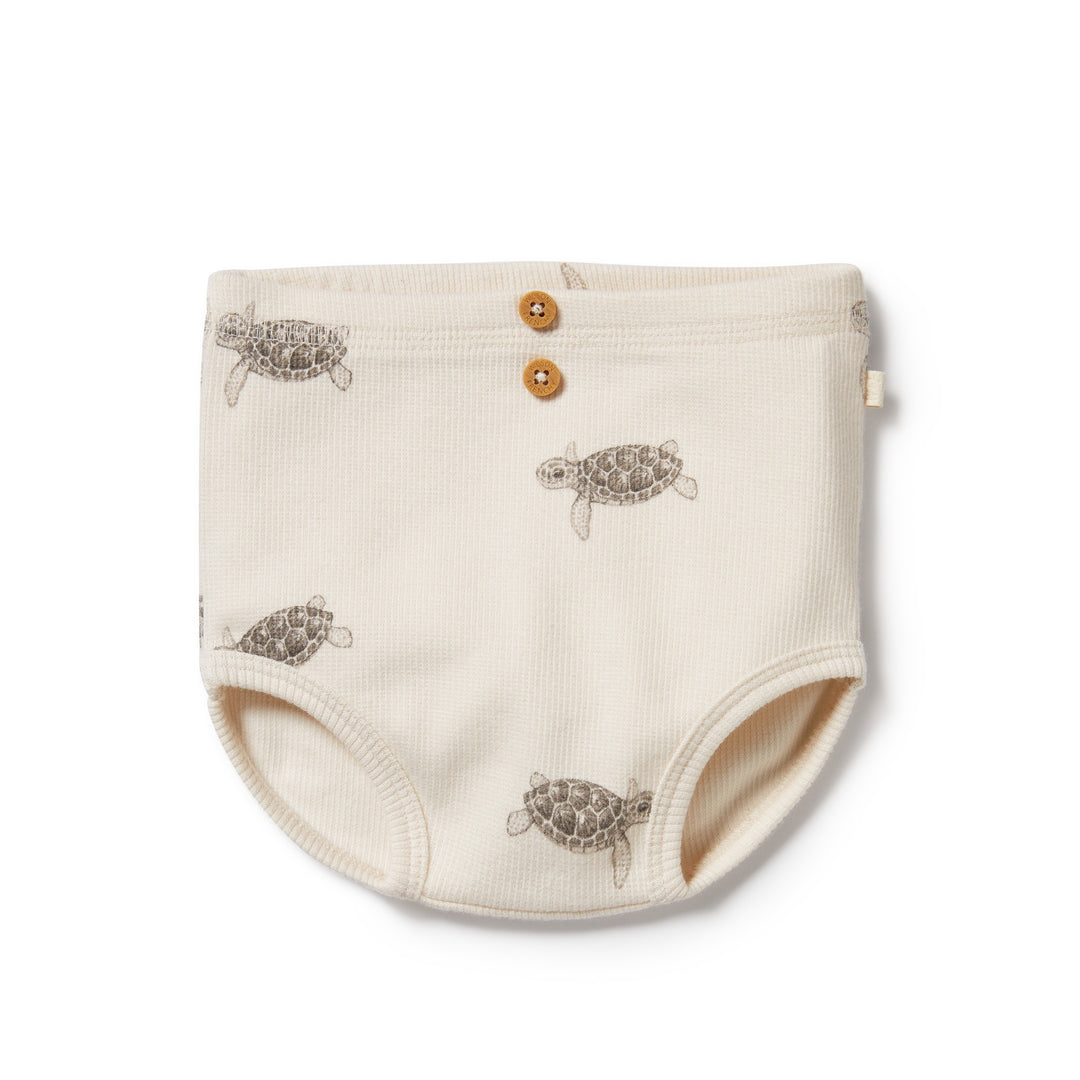 Wilson and Frenchy Tiny Turtle Organic Nappy Pant