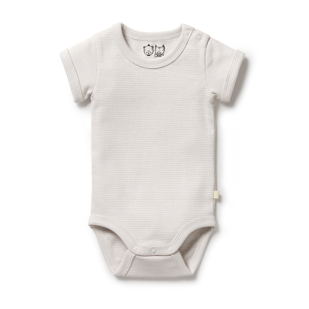 Wilson and Frenchy Organic Stripe Rib Bodysuit - Clay