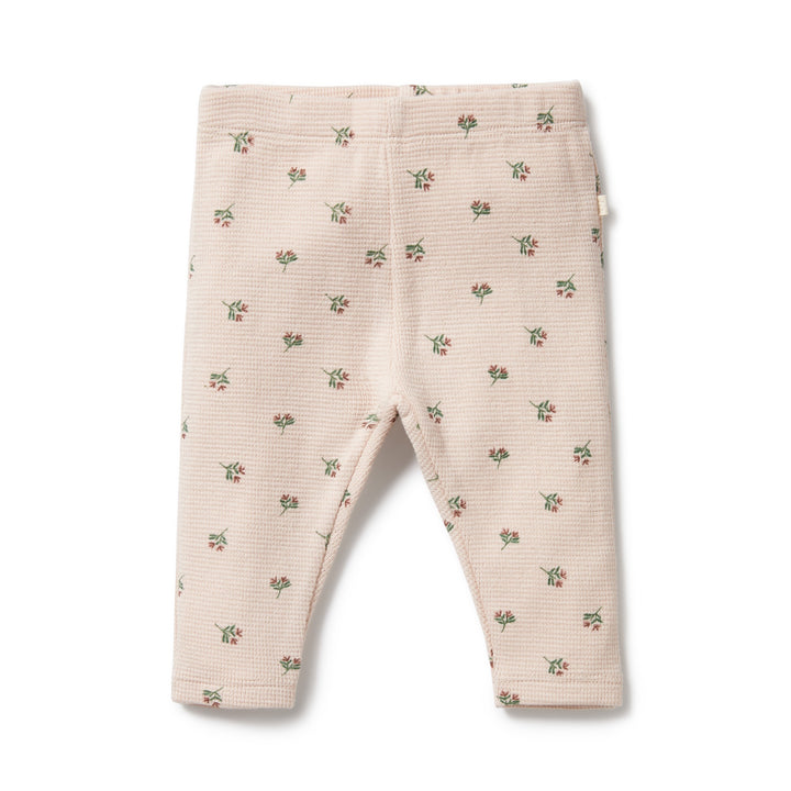 Wilson and Frenchy Organic Waffle Legging - Emily Floral