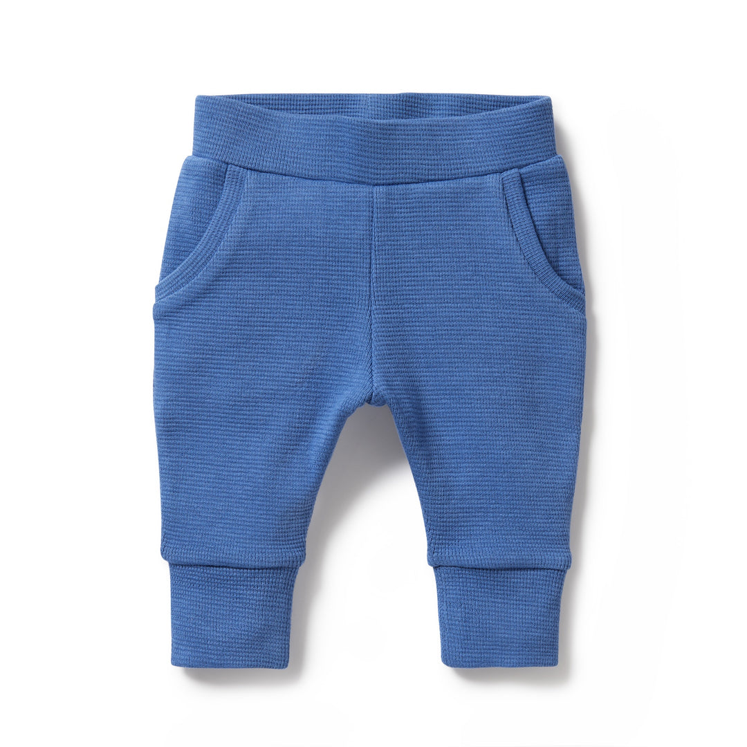 Wilson and Frenchy Organic Waffle Pant - Brilliant Blue