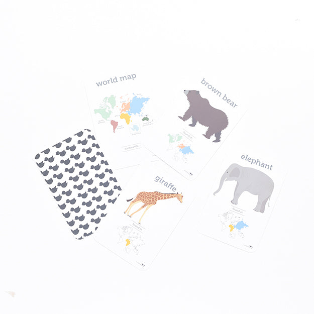 Flash Cards - World Animals