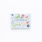 Snap and Memory Game - A Trip Around Oz
