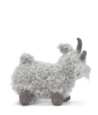 Lil Gus the Goat
