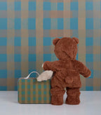 Dinkum Doll Pretend Pack - Teddy