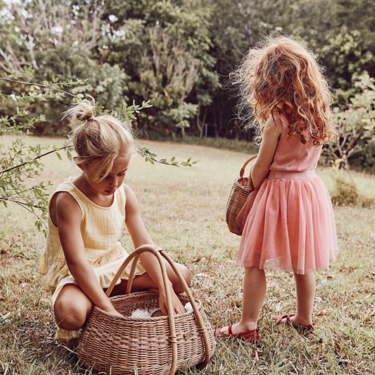 Mosey Basket