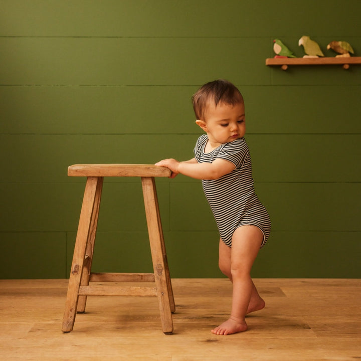 Nature Baby Short Sleeve Bodysuit - Navy Stripe