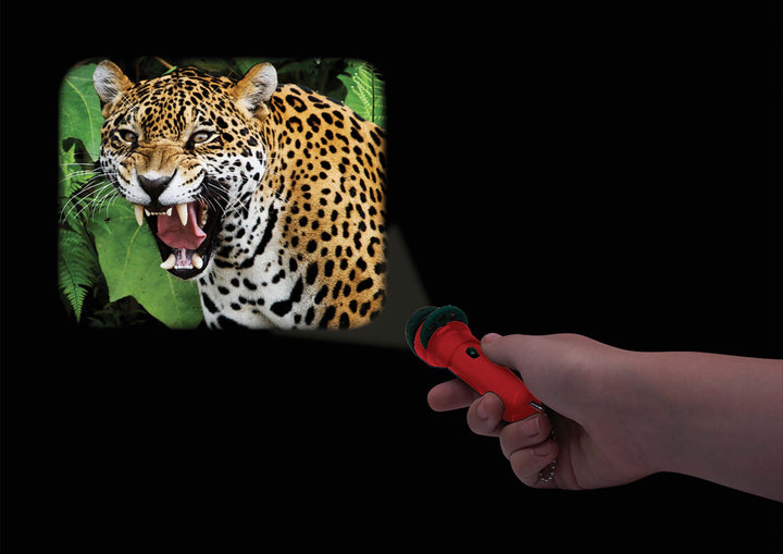 Torch Projector - Wild Things