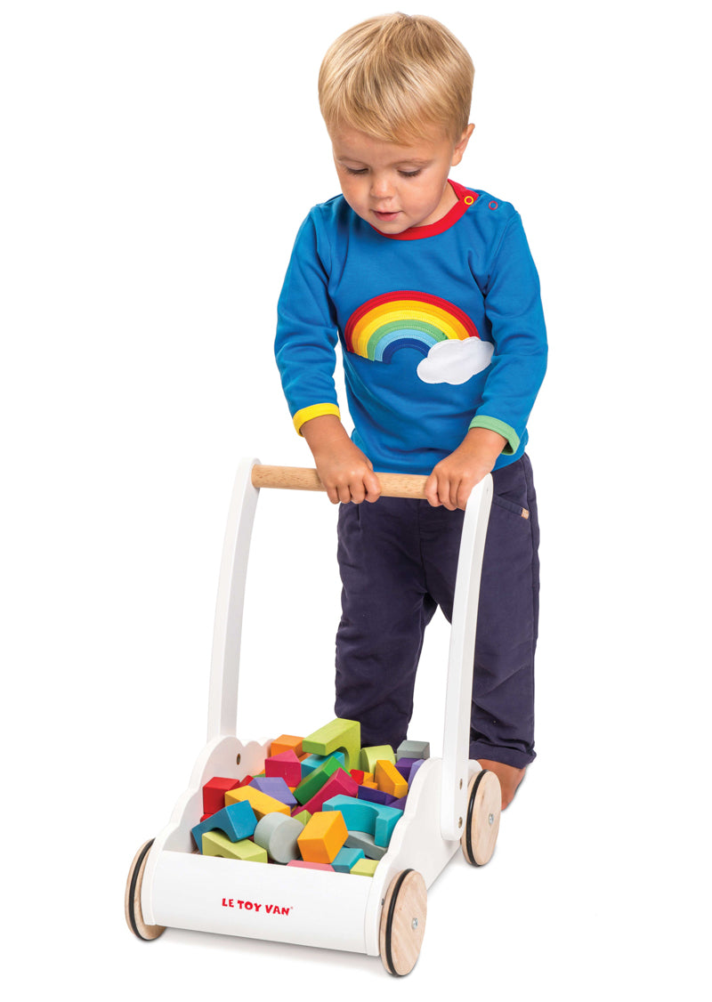 Rainbow Cloud Walker