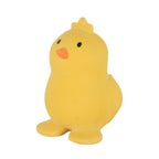 My First Farm Animal - Chicken