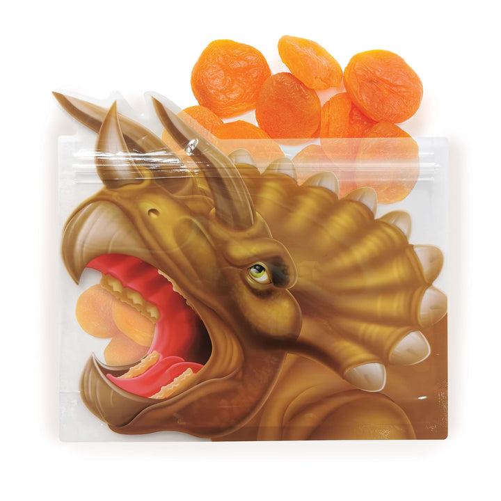 Reusable Zip Bag - Dinosaurs