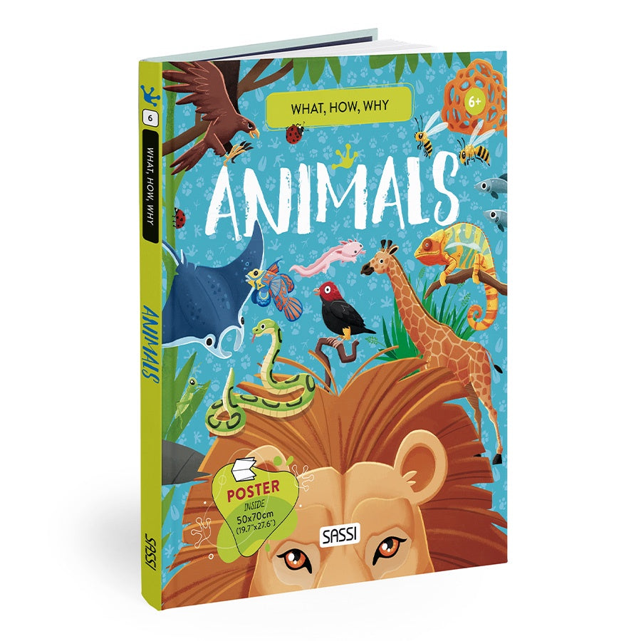 What How Why Animals Book and Poster